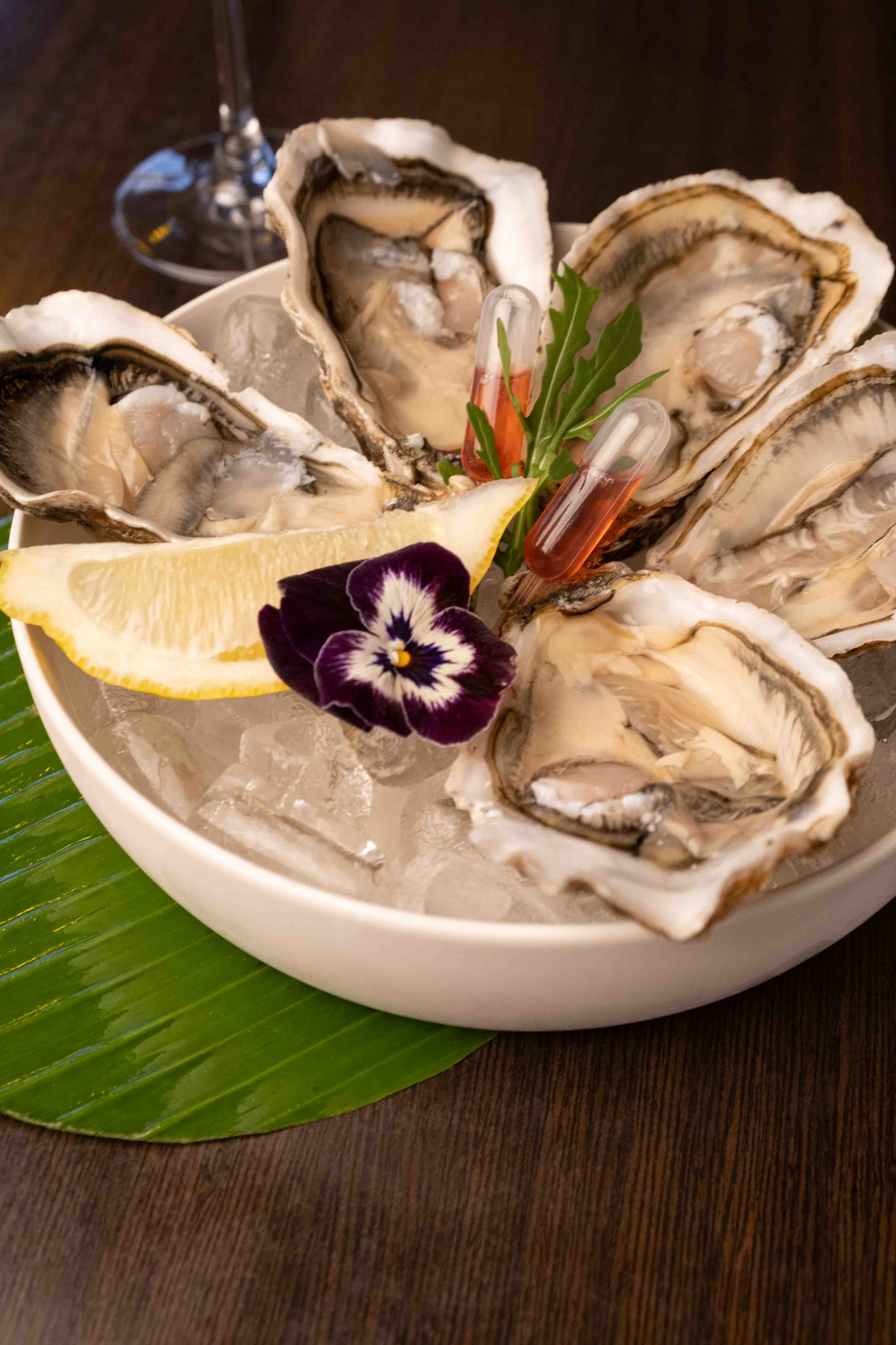 Kodoo Oesters